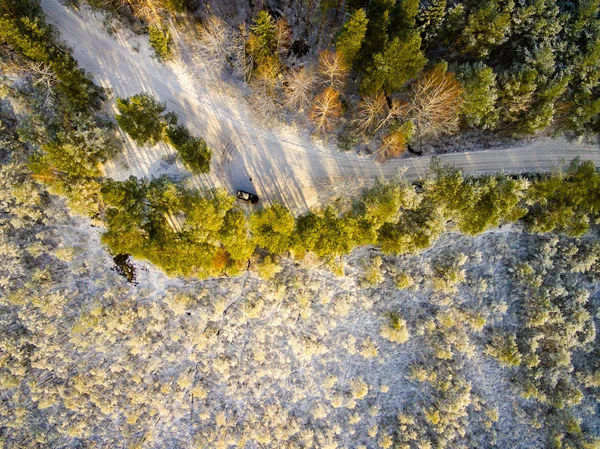 Vista aérea da floresta nevada no dia ensolarado de inverno — Fotografia de Stock