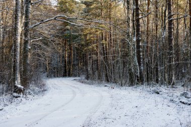 Araba lastik izleri kış yolda