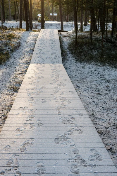 tourist boardwalk with foot tracks on winter road