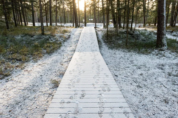 tourist boardwalk with foot tracks on winter road