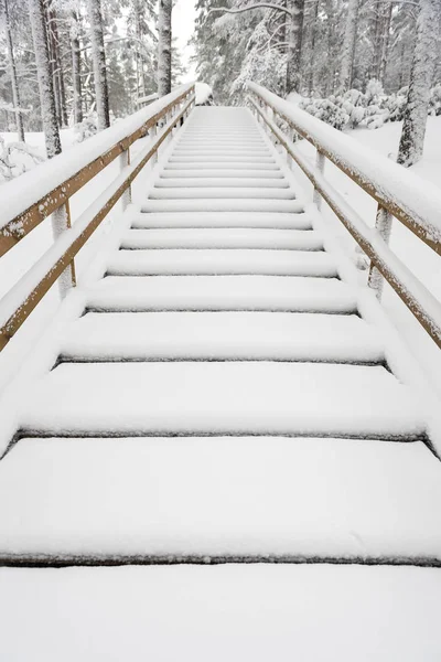 tourist boardwalk with foot tracks on winter road