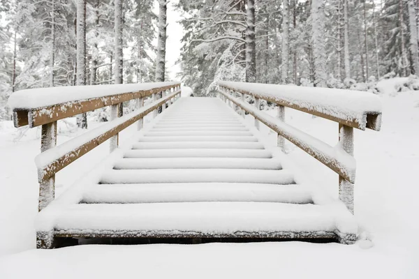 tourist boardwalk with foot tracks on winter road