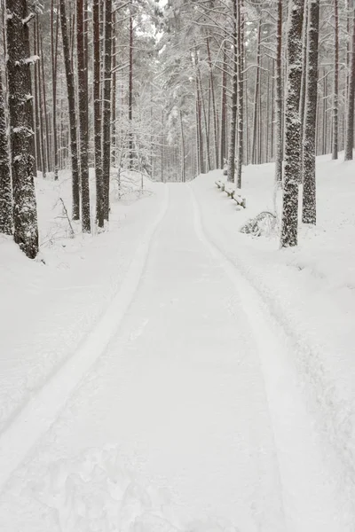 Araba lastik izleri kış yolda — Stok fotoğraf