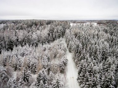drone ormandan kış havadan görünümü