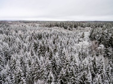 drone ormandan kış havadan görünümü