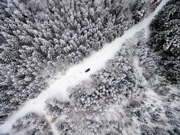 drone ormandan kış havadan görünümü