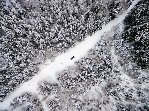 Aerial view of winter forest from drone — Stock Photo, Image