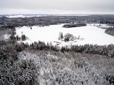 drone ormandan kış havadan görünümü