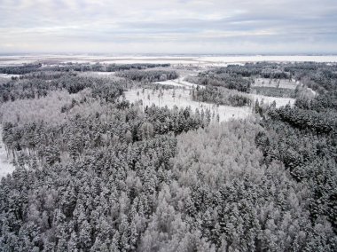 drone ormandan kış havadan görünümü