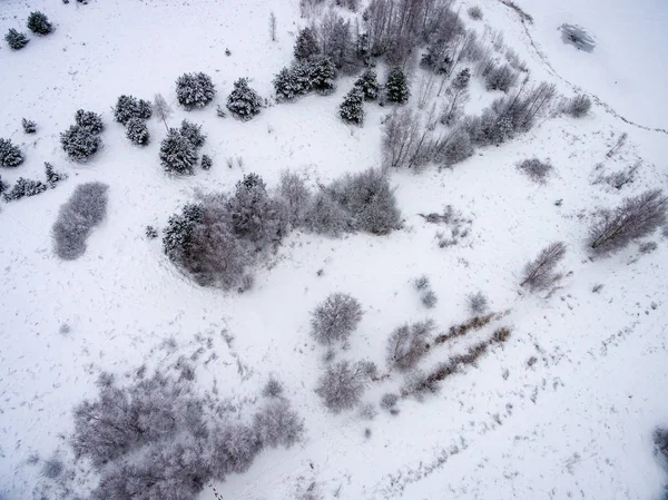 Vista aérea da floresta de inverno do drone — Fotografia de Stock