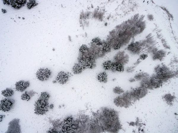Luftaufnahme des Winterwaldes von der Drohne aus — Stockfoto
