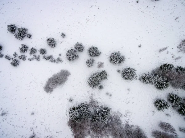 Vista aérea del bosque de invierno desde el dron —  Fotos de Stock