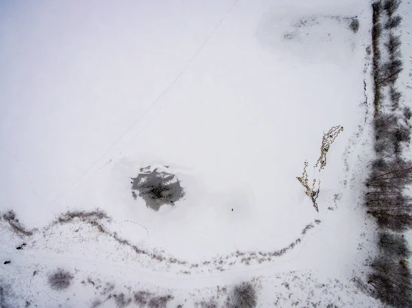 Flygfoto över vintern skog från drone — Stockfoto