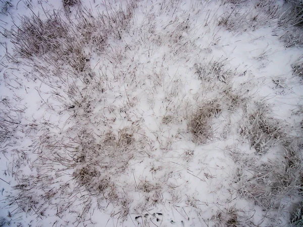 Luftaufnahme des Winterwaldes von der Drohne aus — Stockfoto