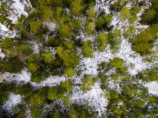 Vista aérea do lago de floresta congelada no inverno — Fotografia de Stock