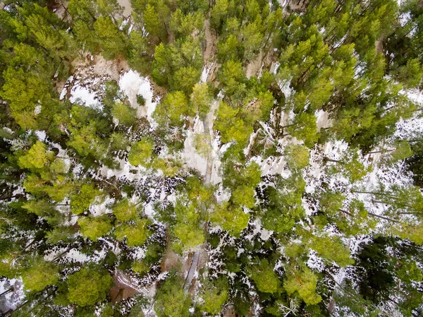 A légi felvétel a fagyasztott erdei tó télen — Stock Fotó