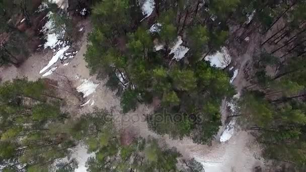 Imágenes aéreas de aviones no tripulados volando sobre el lago congelado y el bosque — Vídeo de stock