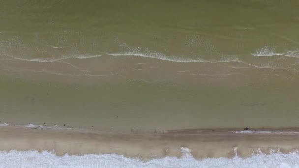 Riprese aeree di droni che sorvolano la spiaggia ghiacciata e il mare aperto con onde che si frantumano — Video Stock