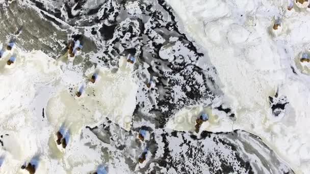 Images aériennes de drones survolant un lac et une forêt gelés — Video