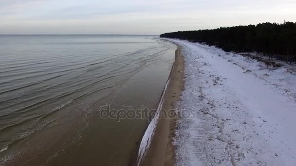 Riprese aeree di droni che sorvolano la spiaggia ghiacciata e il mare aperto con onde che si frantumano — Video Stock