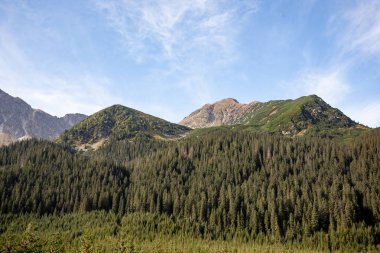 Slovakça Karpat Dağları Güz
