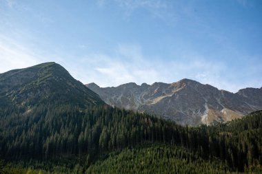 Slovakça Karpat Dağları Güz