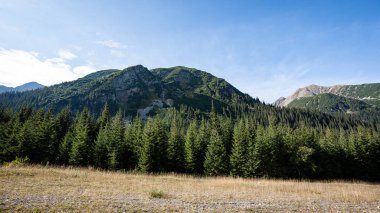 Slovakça Karpat Dağları Güz