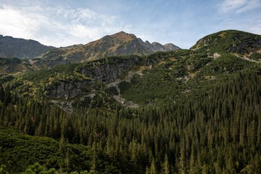 Slovakça Karpat Dağları Güz