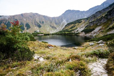 Slovakça Karpat Dağları Güz