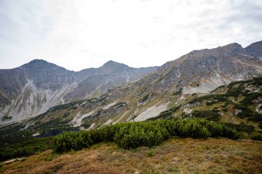 Slovakça Karpat Dağları Güz