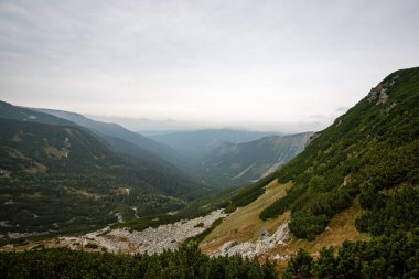 Slovakça Karpat Dağları Güz