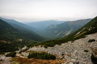 Slovakça Karpat Dağları Güz