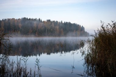 puslu kırsal manzara Gölü Letonya ile