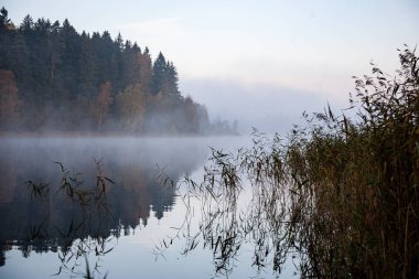 puslu kırsal manzara Gölü Letonya ile