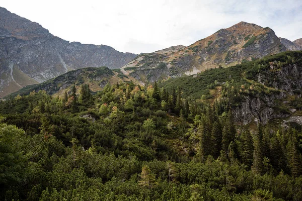 秋にスロバキア カルパチア山脈 — ストック写真