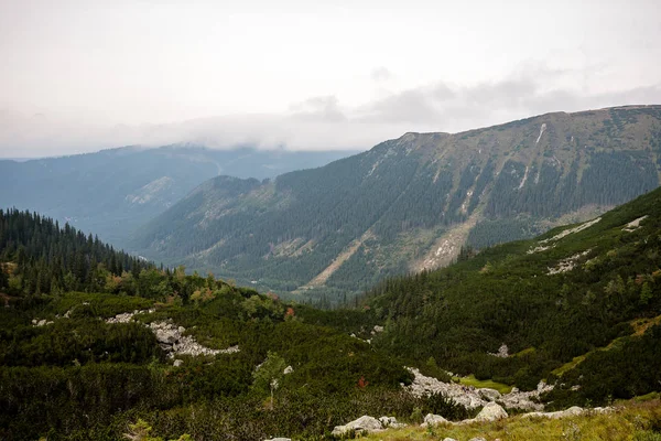 Montañas de los Cárpatos eslovacos en otoño — Foto de Stock