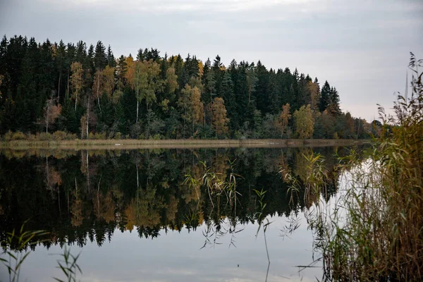 Paisaje de campo brumoso con lago en latvia — Foto de Stock