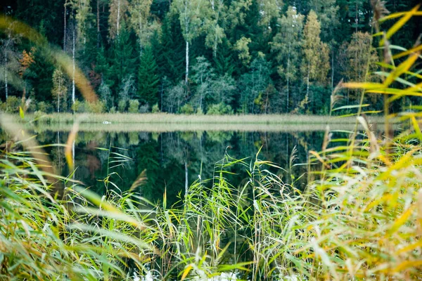 Paysage champêtre brumeux avec lac en latvia — Photo