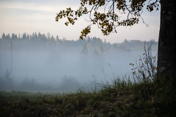 Dimmiga landsbygd landskap med vågiga asfaltvägen i Lettland — Stockfoto