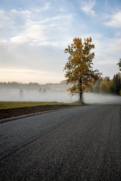 Paisaje de campo brumoso con asfalto camino ondulado en latvia —  Fotos de Stock