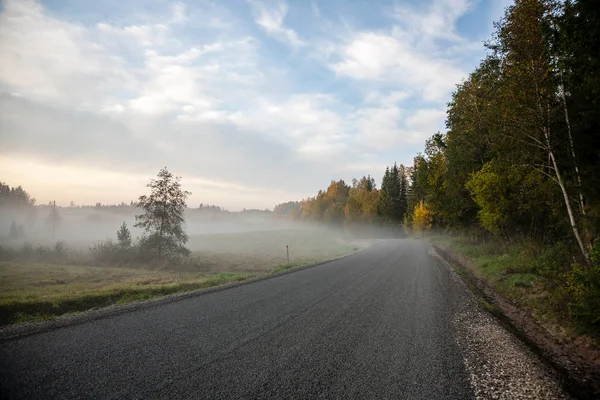 Misty countryside landscape with asphalt wavy road in latvia — Stock Photo, Image