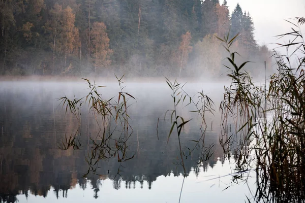 Paisaje de campo brumoso con lago en latvia —  Fotos de Stock