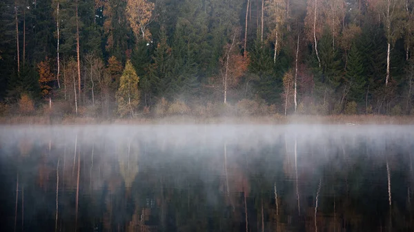 Туманный сельский пейзаж с озером в Латвии — стоковое фото