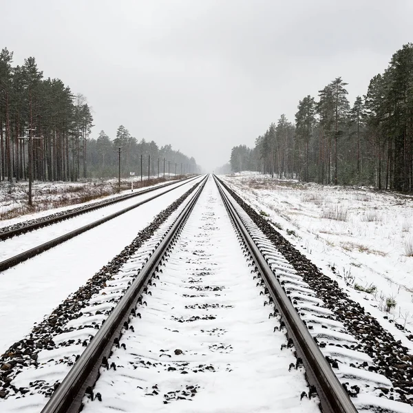 Железнодорожные пути в снежный зимний день — стоковое фото