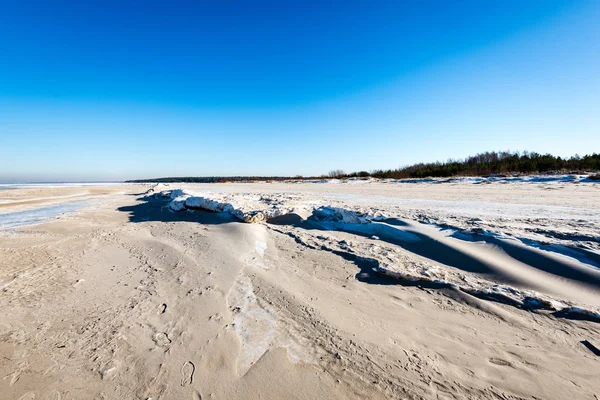 Mrożone beach mroźne zimy dzień — Zdjęcie stockowe