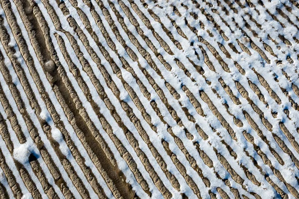 Fagyasztott homok jég blokkok — Stock Fotó