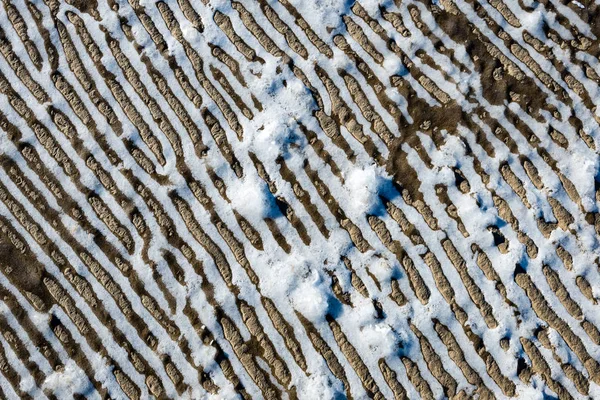 Mrożone piasku z bloki lodu — Zdjęcie stockowe