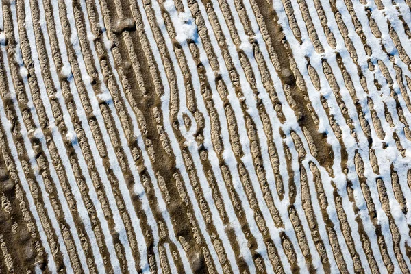 Areia congelada com blocos de gelo — Fotografia de Stock