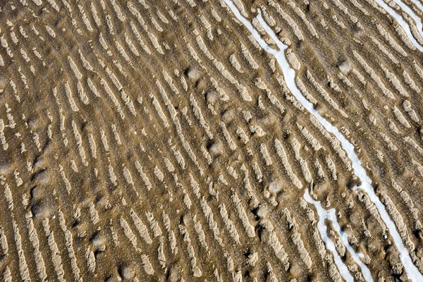 Areia congelada com blocos de gelo — Fotografia de Stock