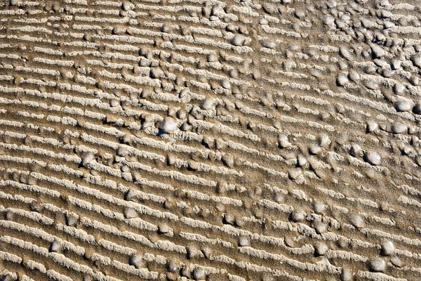 Замороженный песок с блоками льда — стоковое фото